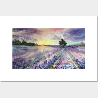 Lavender fields. Posters and Art